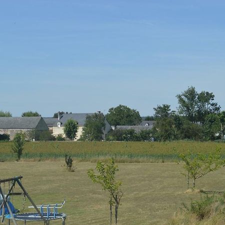 Gite Dans Le Vignoble De Bourgueil Le Port Boulet Exterior photo