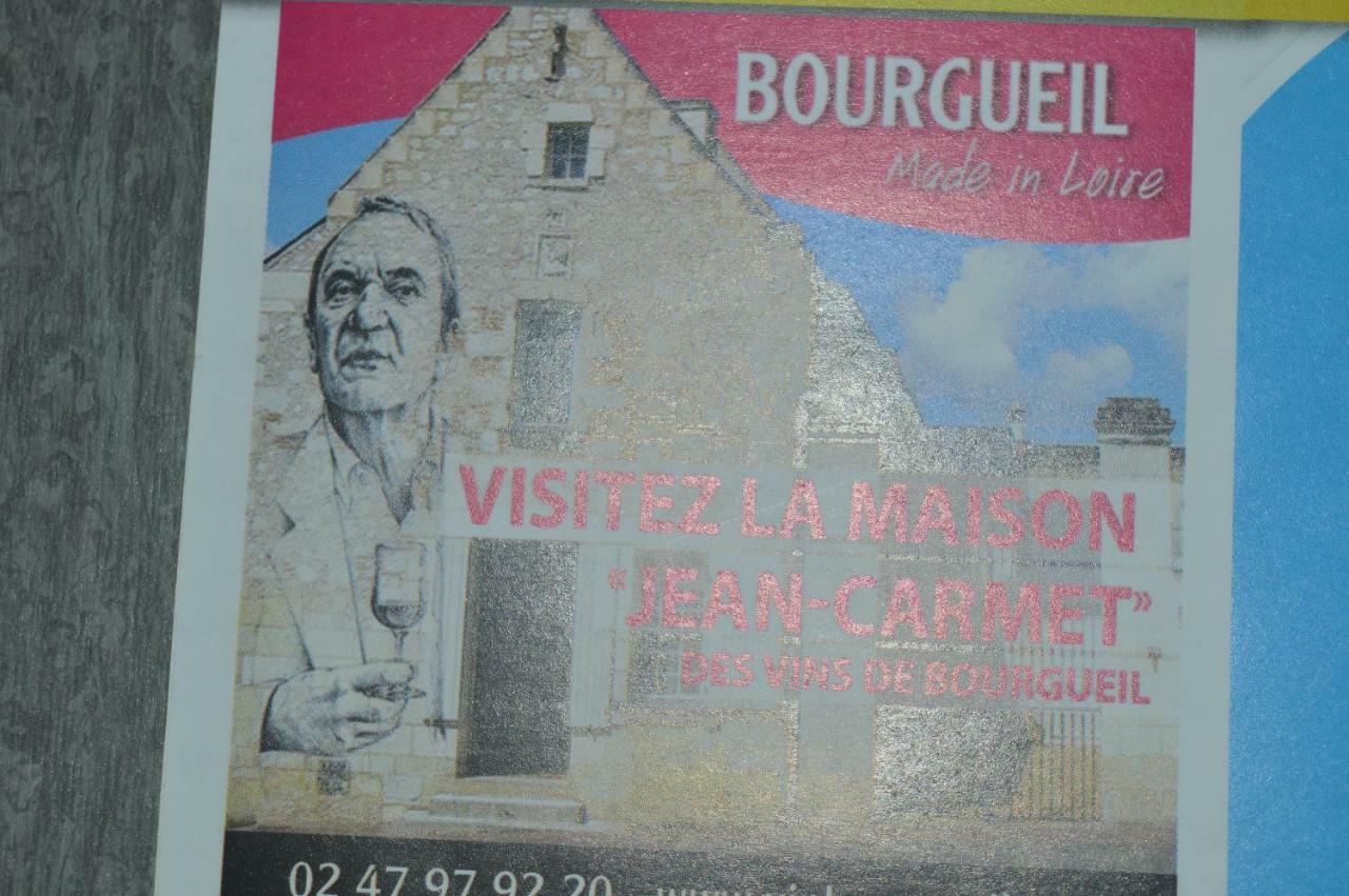 Gite Dans Le Vignoble De Bourgueil Le Port Boulet Exterior photo