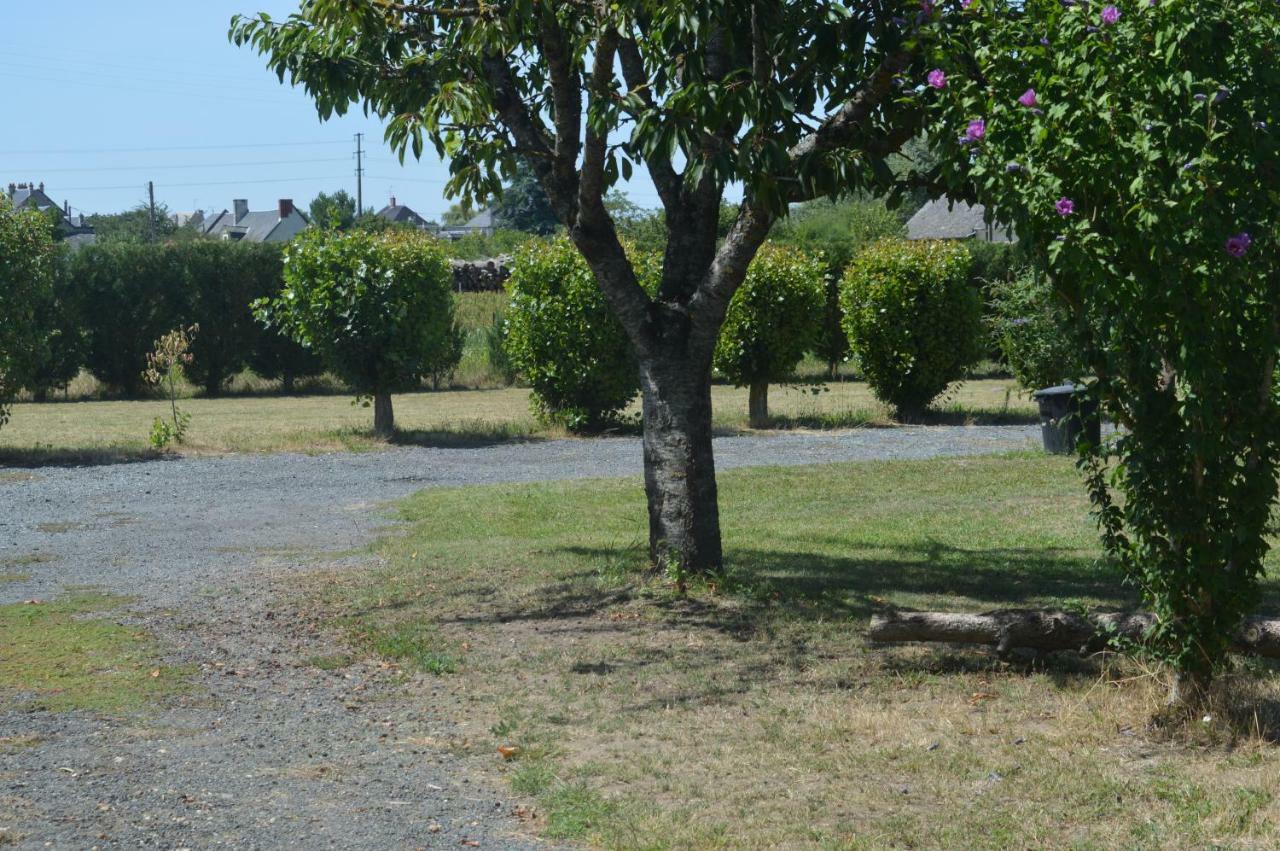 Gite Dans Le Vignoble De Bourgueil Le Port Boulet Exterior photo
