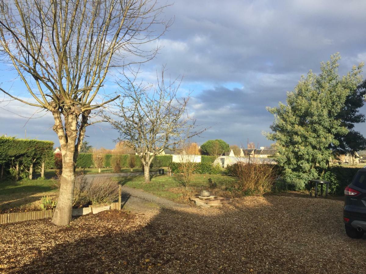Gite Dans Le Vignoble De Bourgueil Le Port Boulet Exterior photo